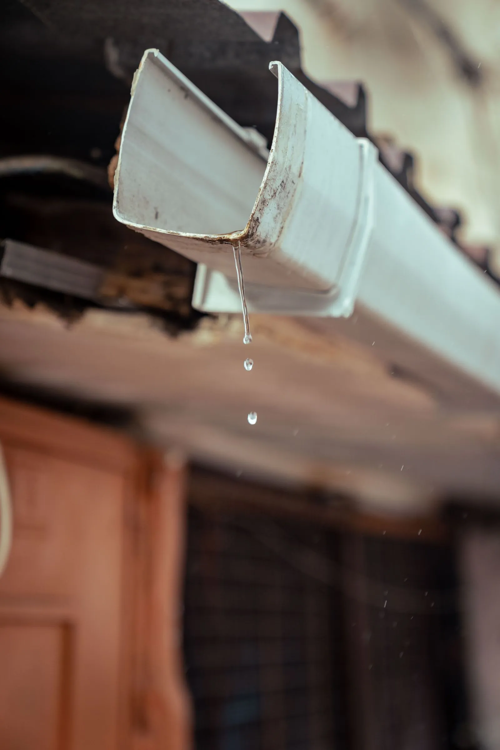 Rain gutter and downpipe on the edge of a house roof